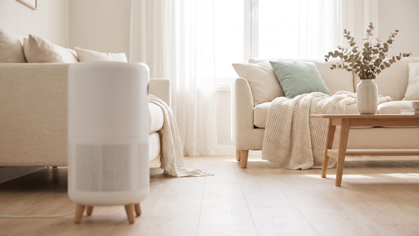 Blueair Air Purifier Reviews: Is It Worth It?